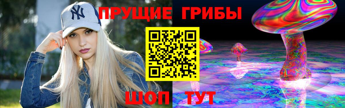 Галлюциногенные грибы мицелий  Галлюциногенные грибы прущие грибы  Вход с VPN  Отрадный 